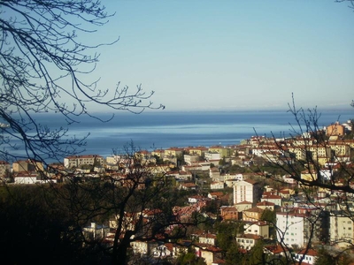 Villetta a schiera in Vendita a Trieste vicolo delle rose