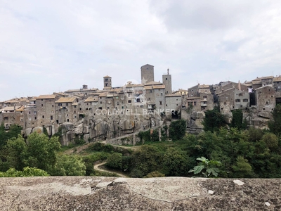 Attività commerciale in affitto a Vitorchiano - Zona: Vitorchiano