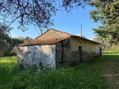 Rustico casale in vendita a Gavorrano Grosseto Bagno Di Gavorrano