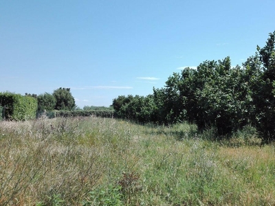 Terreno agricolo in vendita a Civita Castellana