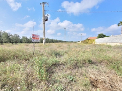 Terreno Agricolo in vendita a Cerignola s.p. 143