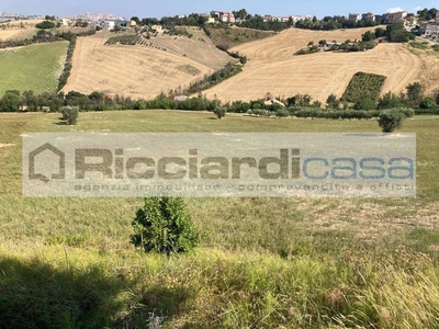 Terreno Agricolo in vendita a Monte Urano via Pertini