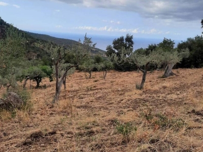 Terreno Agricolo in vendita a Tusa contrada Tonnara