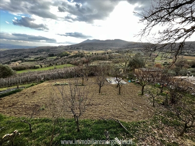 Terreno in vendita a Sarteano