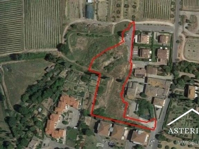 Castelnuovo Berardenga 5805mq