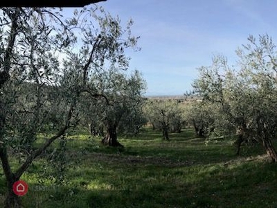 Terreno agricolo in Vendita in a Piombino