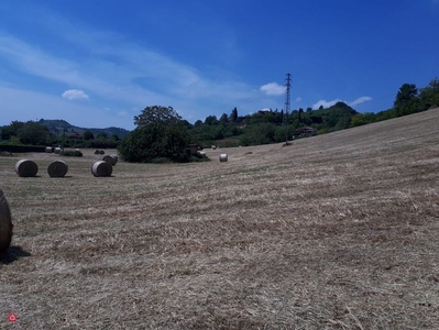 Terreno agricolo in Vendita in Via Frignanese a Vignola