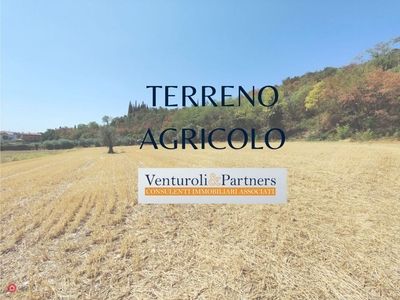 Terreno agricolo in Vendita in Via Panoramica a Manerba del Garda
