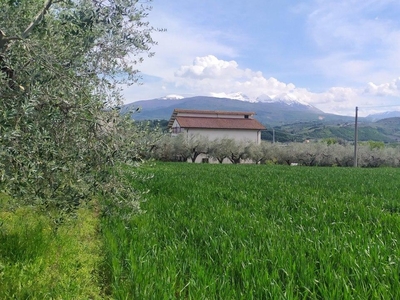 Via Madonna della Pace 11 Contrada Piano Fara 20 vani 3600mq