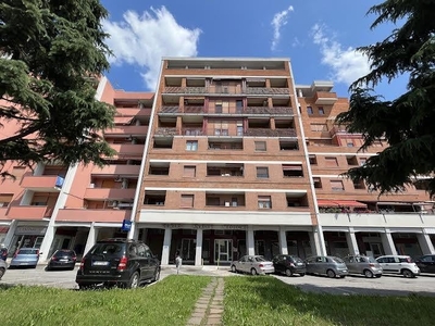 Viale Lombardia monolocale 60mq