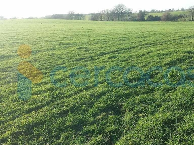 Terreno agricolo in vendita a Tarquinia