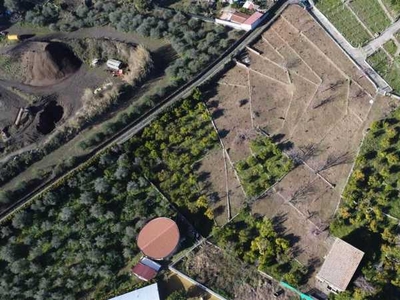 Terreno edificabile in Vendita ad Viagrande - 115000 Euro
