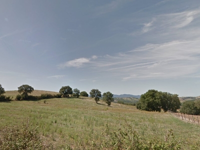 Terreno agricolo in Vendita a Grosseto, zona Poggio Alla Mozza, 195'000€, 150000 m²