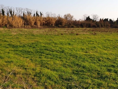 Terreno agricolo in Vendita a Salerno, 230'000€, 20000 m²