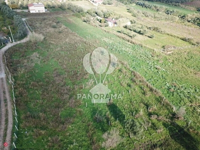 Terreno agricolo in Vendita in a Partinico