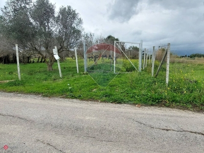 Terreno agricolo in Vendita in Via Francesco Crispi a Partinico