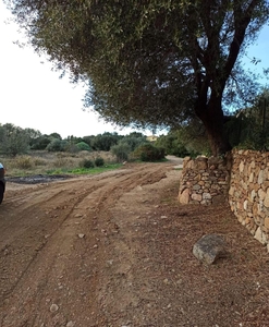 Terreno Edificabile in vendita a Budoni