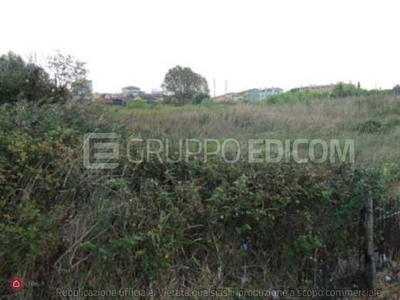 Terreno edificabile in Vendita in Via Sottomarina a Chioggia