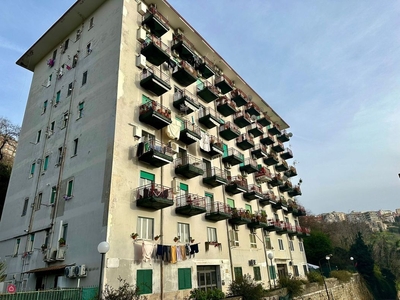 Appartamento in Vendita in Via Enea Zanfagna 124 a Napoli