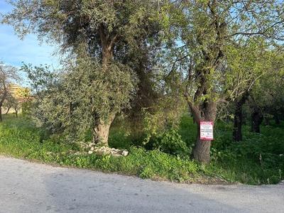 Terreno Agricolo in vendita a Avola