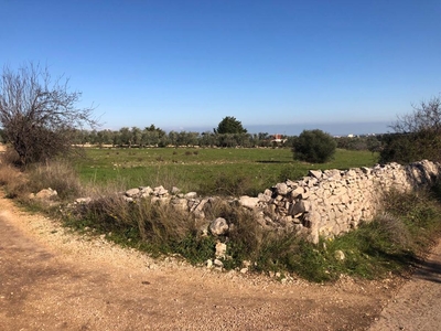 Terreno agricolo in vendita a Corato