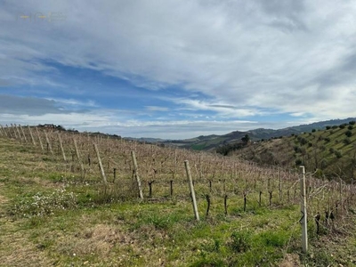 terreno agricolo in vendita a Trivio