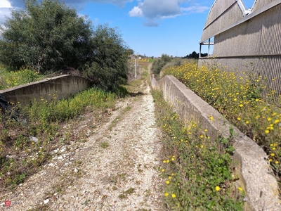 Terreno agricolo in Vendita in Contrada Arnao a Partinico