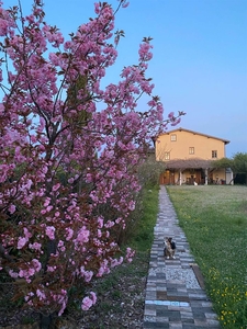 Villa bifamiliare in vendita a Borgo San Lorenzo Firenze