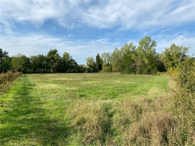 Affitto terreno agricolo MONTESPERTOLI