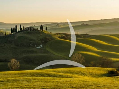 Azienda Agricola in Vendita a Torrita di Siena