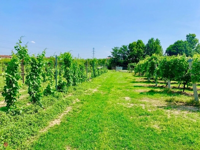 Terreno agricolo in Vendita in a Cavaion Veronese