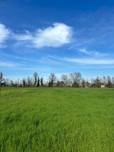 Vendita Terreno agricolo Via Foschiero, 395, Spilamberto