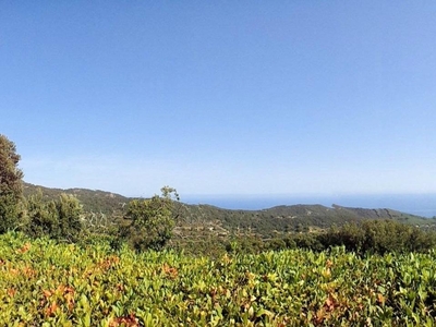 Casa indipendente in vendita a Marciana