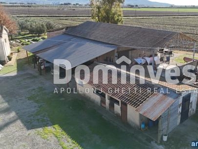 L’Agenzia immobiliare Dominvest Roma Capalbio propone