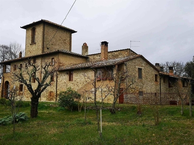 Negozio in vendita a Castelnuovo Berardenga