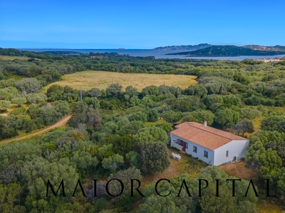 Esclusiva villa di 260 mq in vendita Porto Pollo, Palau, Sassari, Sardegna