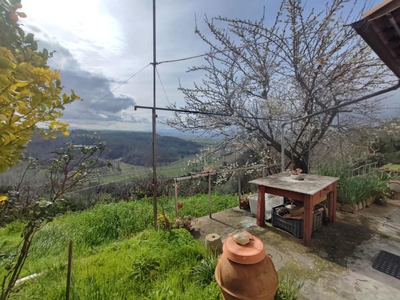 Rustico con giardino, Palaia forcoli