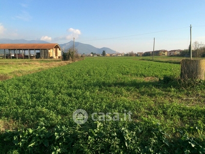 Terreno agricolo in Affitto in Via Carlo Matteucci a Pisa