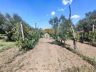 Terreno Agricolo in vendita a Capua