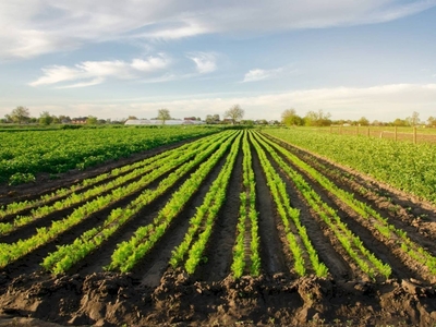 Terreno Agricolo in vendita a Castel San Pietro Terme