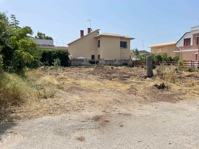 Terreno Agricolo in vendita a Castel Volturno