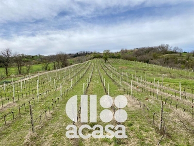 terreno agricolo in vendita a Cesena