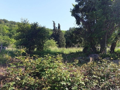 Terreno agricolo in vendita a Manziana