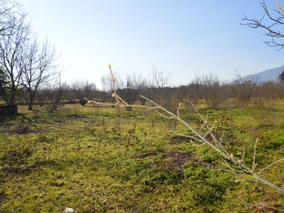 Terreno Agricolo in vendita a Marzano di Nola