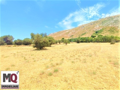 Terreno Agricolo in vendita a Mondragone - Zona: Sant'Angelo