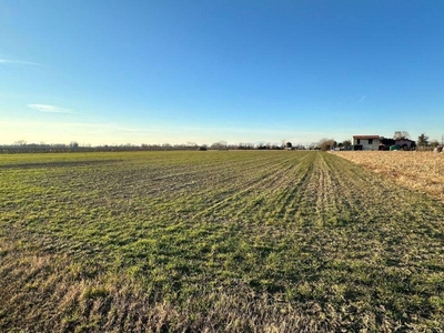 Terreno agricolo in vendita a Palazzolo Dello Stella