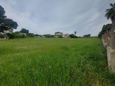 Terreno agricolo in vendita a Pulsano