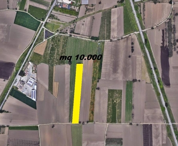 Terreno Agricolo in vendita a Santa Maria Capua Vetere - Zona: Sant'Andrea