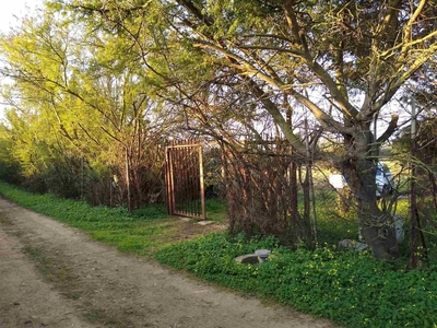 Terreno agricolo in vendita a Sestu