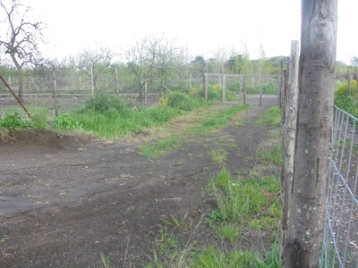 Terreno Agricolo in vendita a Somma Vesuviana